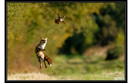 Rencontre Photographique : Jean-Philippe Gibault